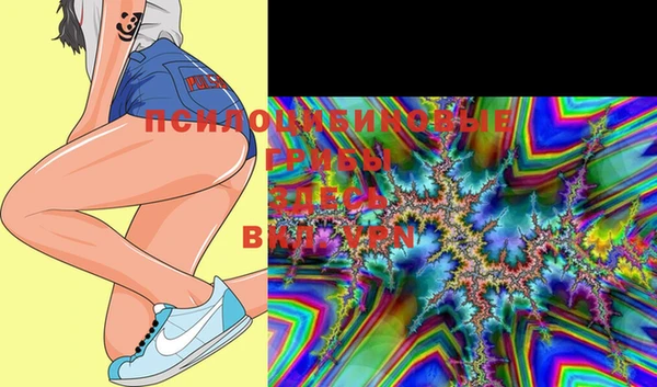 тгк Горняк