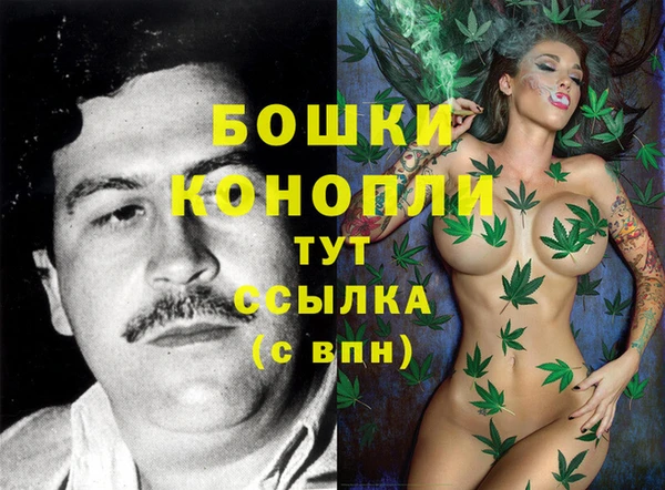 молекула духа Вязники