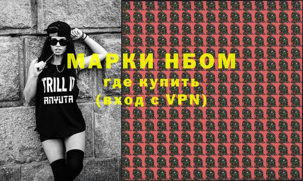 сатива Сясьстрой