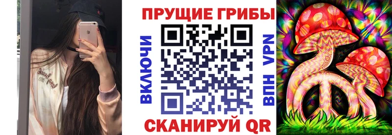 Псилоцибиновые грибы прущие грибы  Дзержинский 